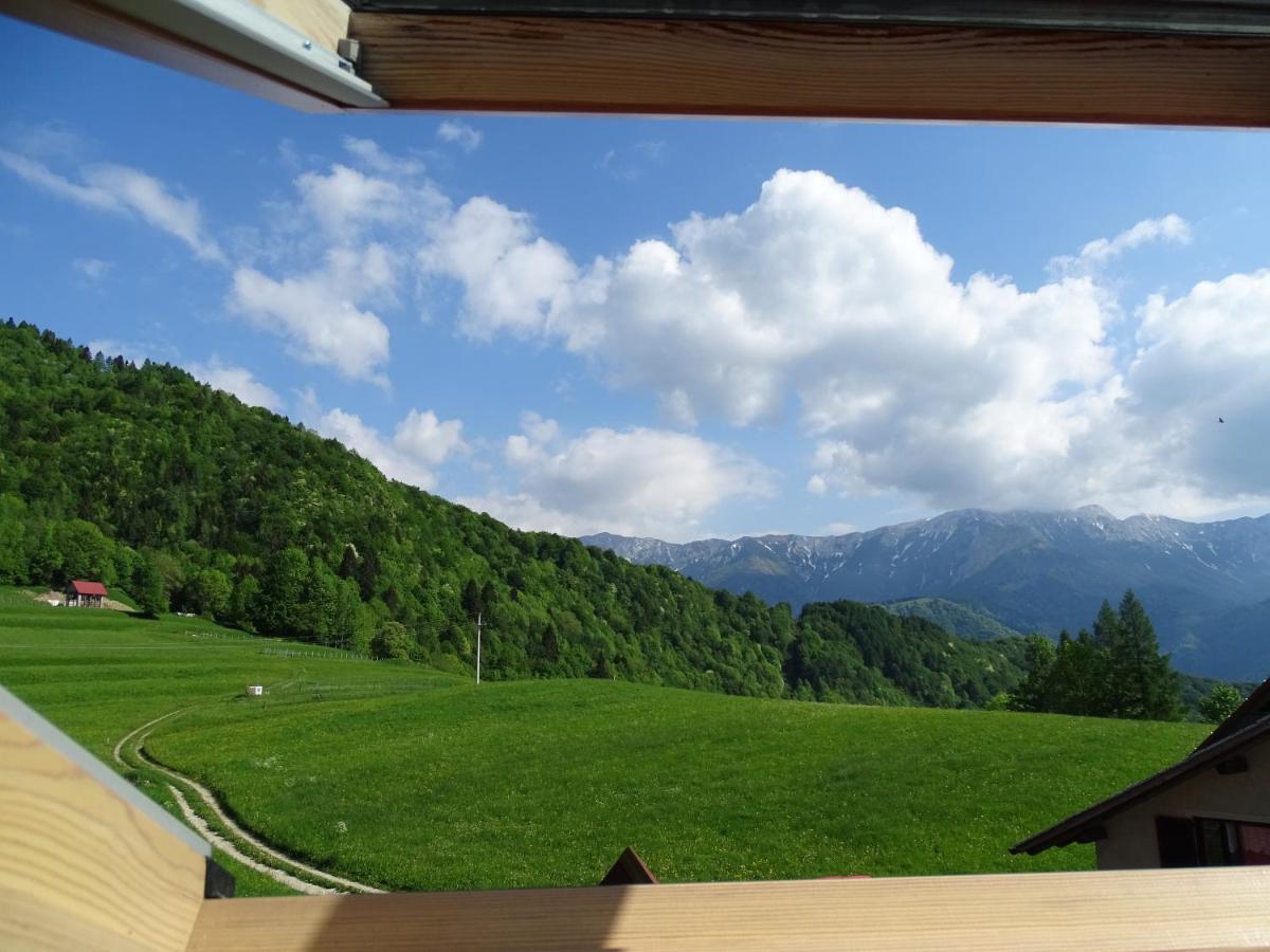 Apartmaji Pr-Gujlu Sela Nad Podmelcem 5220 Tolmin Podmelec Exterior photo